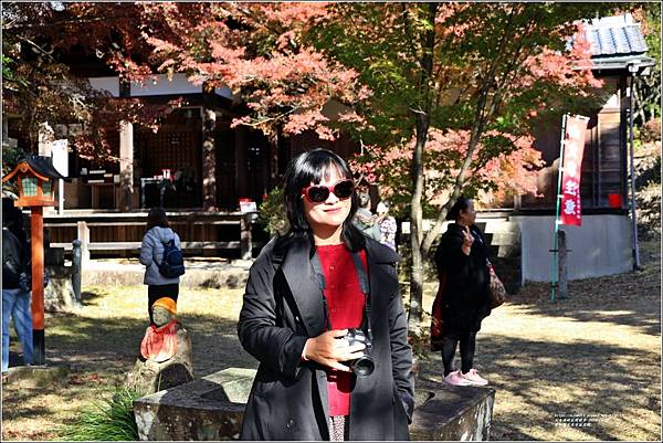 愛知縣犬光市寂光院-2023-11-21-70.jpg