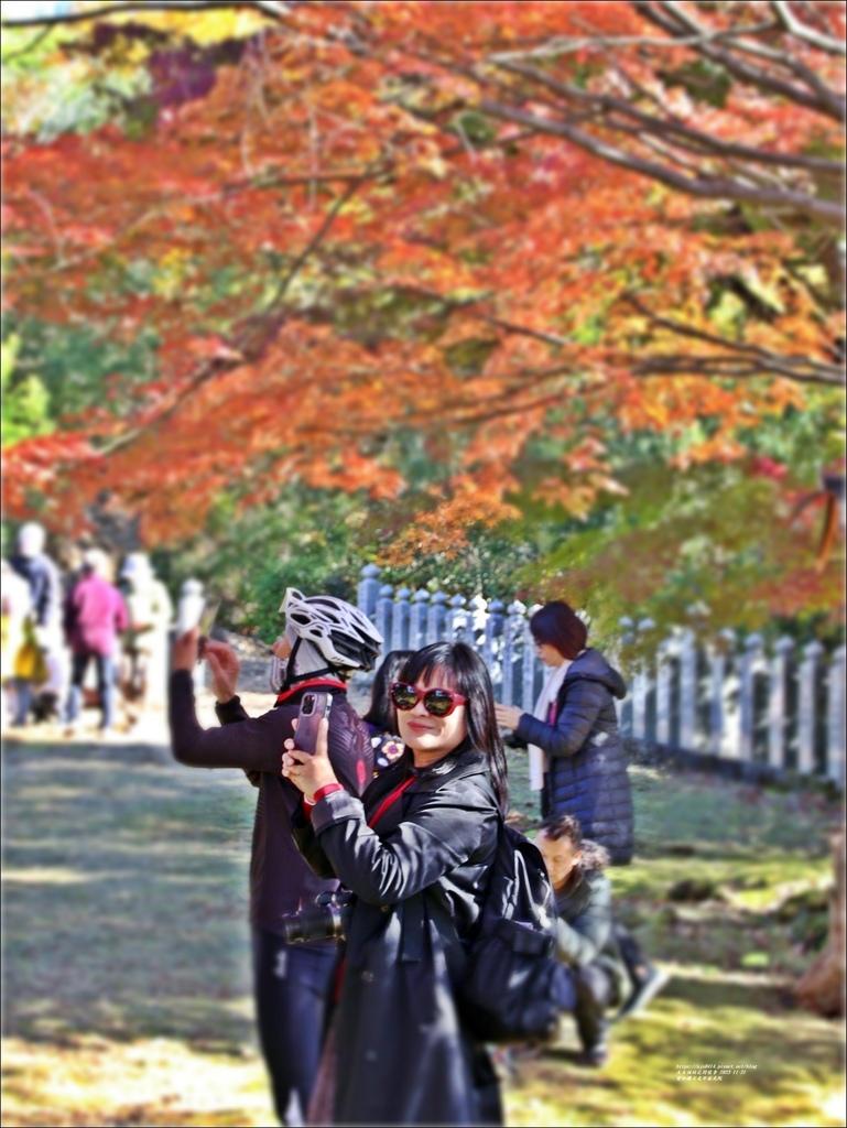 愛知縣犬光市寂光院-2023-11-21-73.jpg 愛知縣犬光市寂光院-2023-11-21-73.jpg