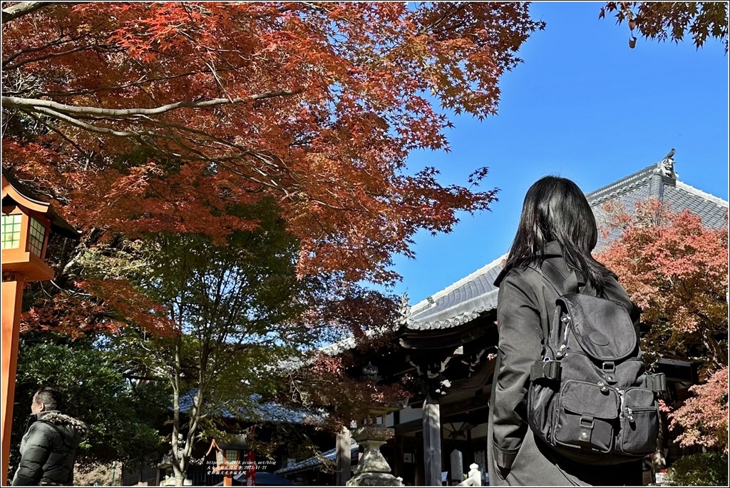 愛知縣犬光市寂光院-2023-11-21-93.jpg