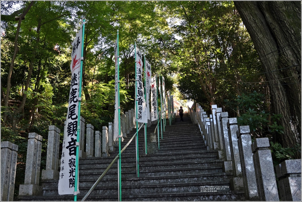 愛知縣犬光市寂光院-2023-11-21-102.jpg 愛知縣犬光市寂光院-2023-11-21-102.jpg