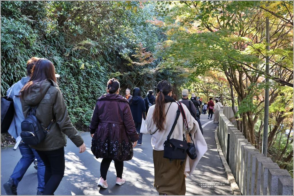 愛知縣犬光市寂光院-2023-11-21-116.jpg 愛知縣犬光市寂光院-2023-11-21-116.jpg