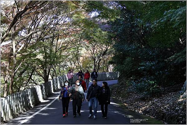 愛知縣犬光市寂光院-2023-11-21-117.jpg