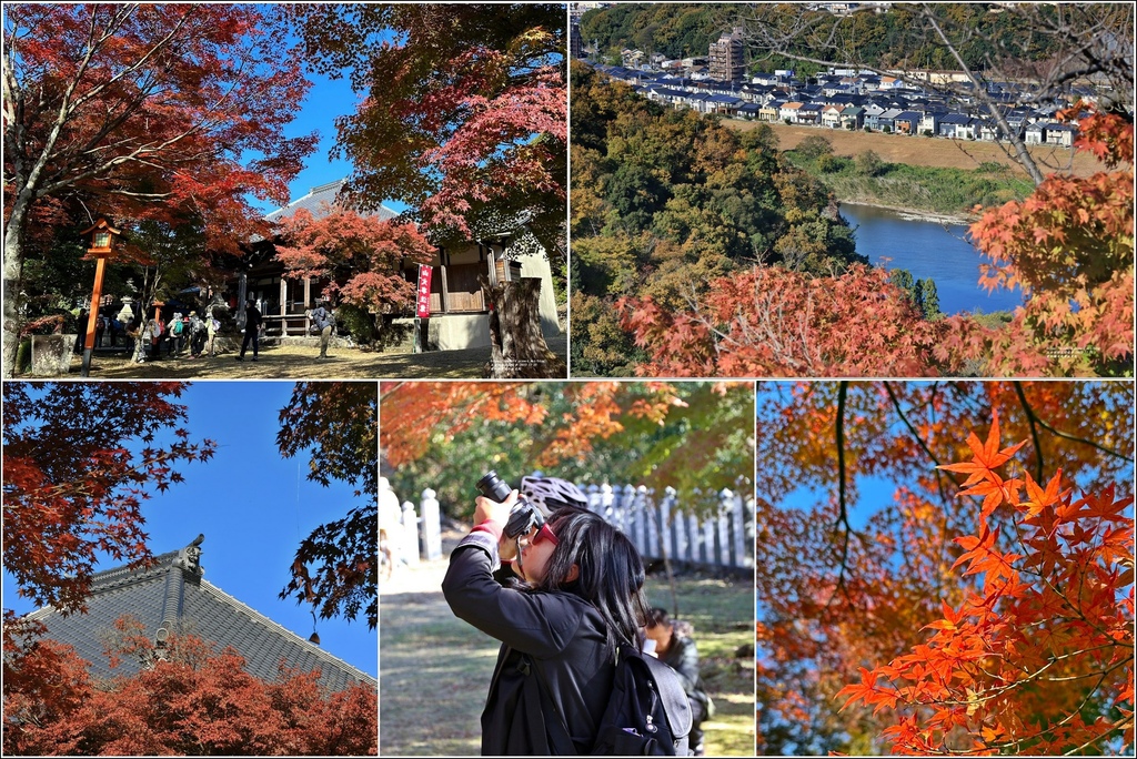 日本,愛知,犬山,日本景點,寂光院,愛知景點,犬山景點,日本神社,愛知神社,犬山神社,賞楓,楓葉,日本旅遊