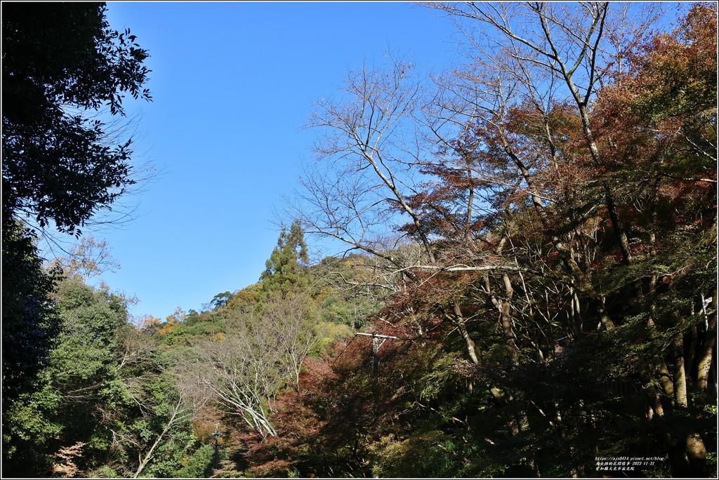 愛知縣犬光市寂光院-2023-11-21-118.jpg 愛知縣犬光市寂光院-2023-11-21-118.jpg