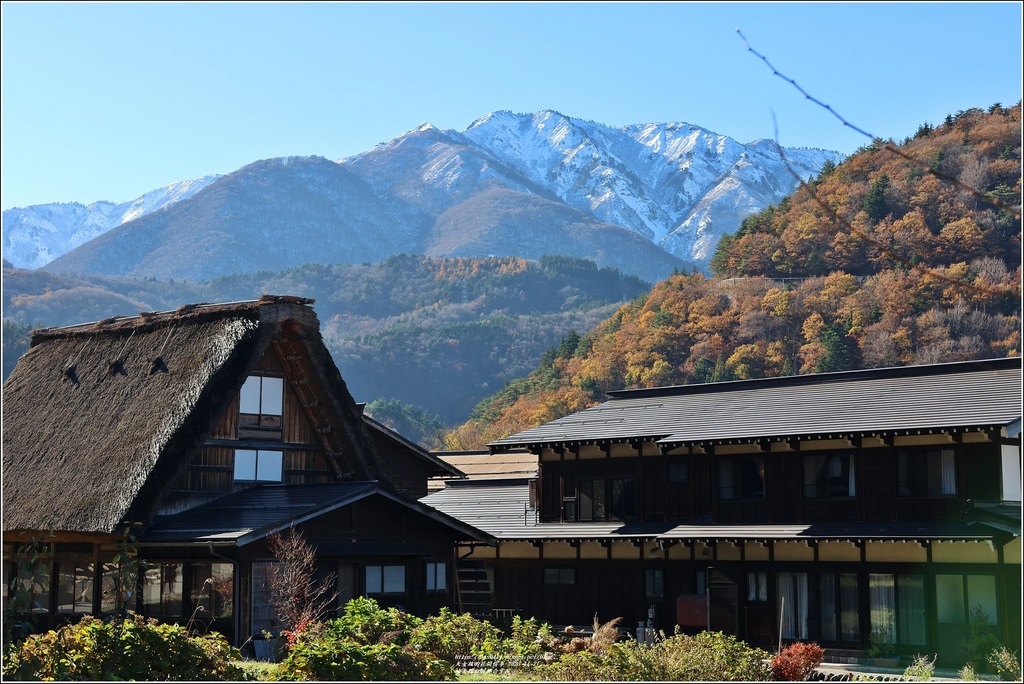 岐阜縣白川鄉合掌屋-2023-11-21-33.jpg