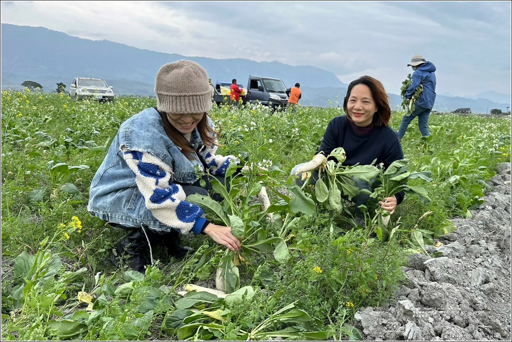 關山拔蘿蔔-2024-01-07-09.jpg