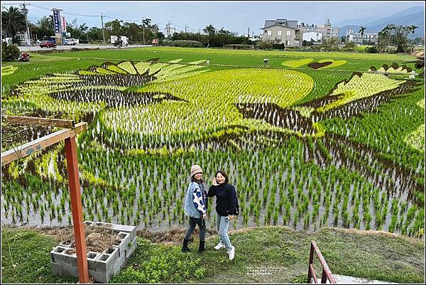 關山歡嘉圓滿彩繪稻田-2024-01-07-16.jpg