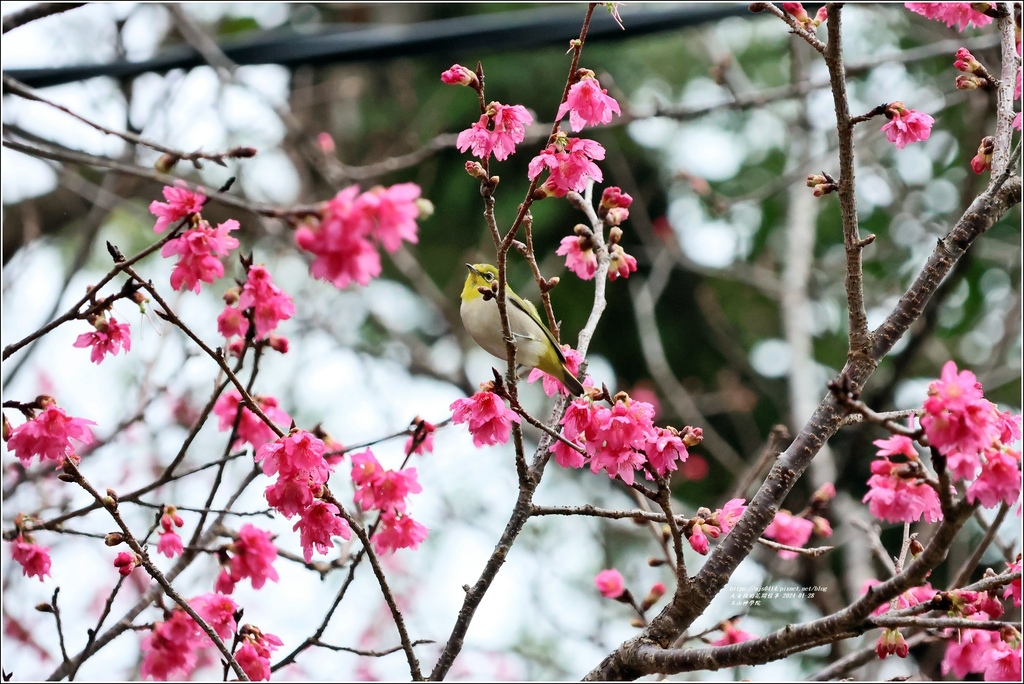 玉山神學院-2024-01-28-04.jpg