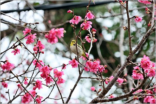 玉山神學院-2024-01-28-04.jpg