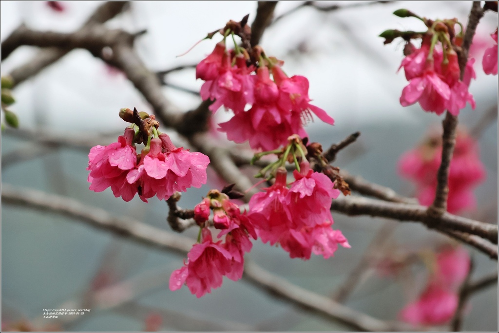 玉山神學院-2024-01-28-09.jpg