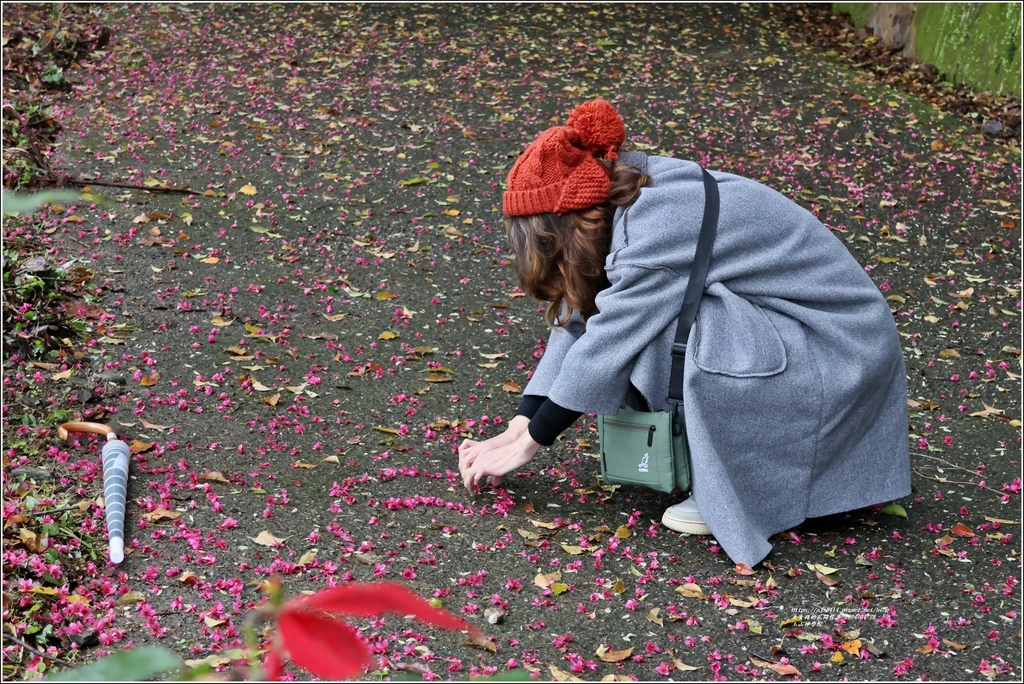 玉山神學院-2024-01-28-12.jpg