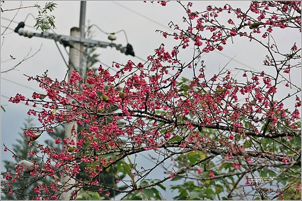 玉山神學院-2024-01-28-27.jpg