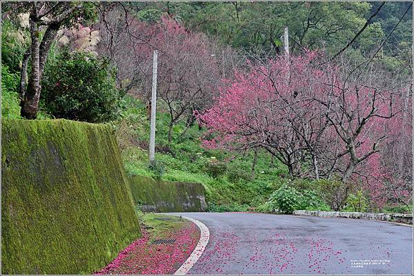 玉山神學院-2024-01-28-28.jpg