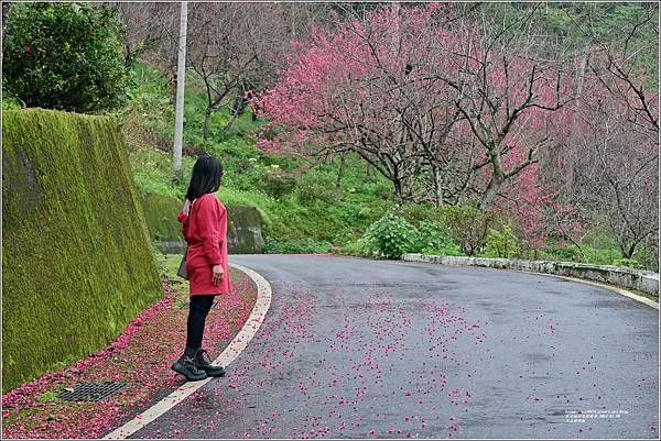 玉山神學院-2024-01-28-29.jpg