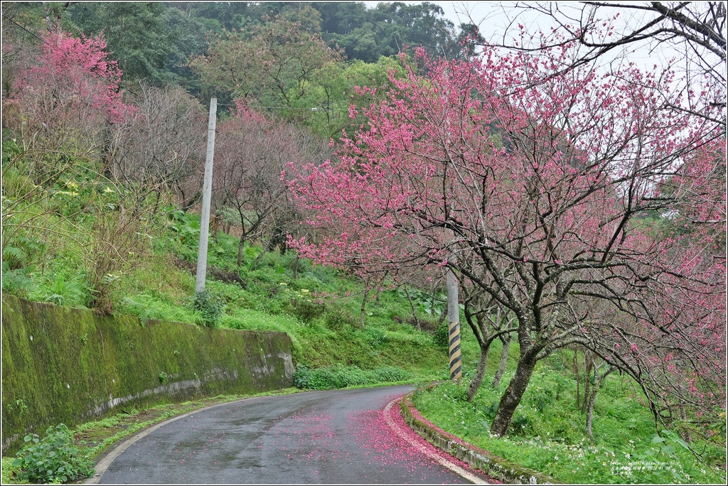 玉山神學院-2024-01-28-32.jpg