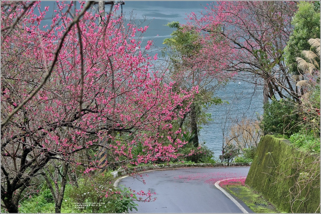 玉山神學院-2024-01-28-58.jpg