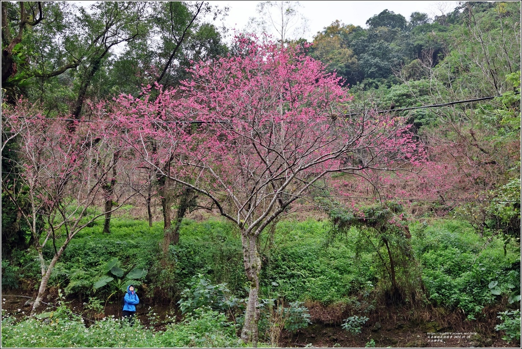 玉山神學院-2024-01-28-68.jpg