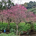 玉山神學院-2024-01-28-68.jpg