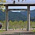 鳳林林田神社遺跡-2024-02-17-14.jpg