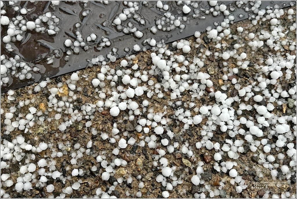 近江町市場-2023-11-18-18.jpg 近江町市場-2023-11-18-18.jpg