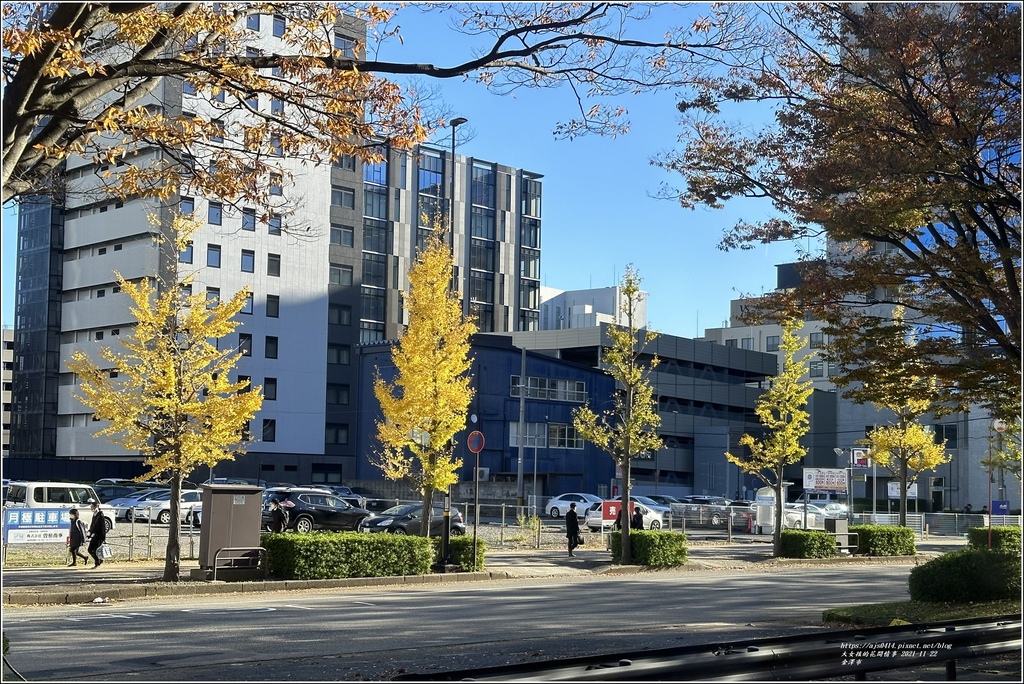 金澤市-2023-11-22-02.jpg 金澤市-2023-11-22-02.jpg