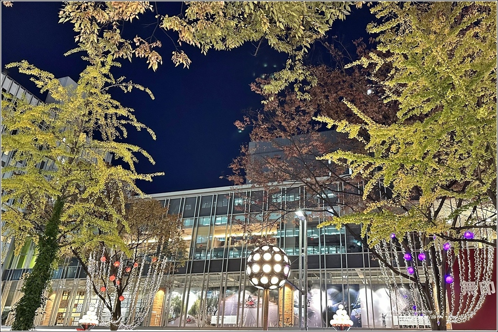 愛知縣名古屋市-2023-11-20-08.jpg 愛知縣名古屋市-2023-11-20-08.jpg