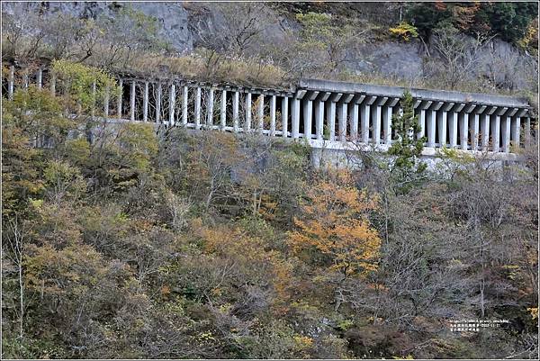 富山縣庄川峽遊船-2023-11-21-07.jpg