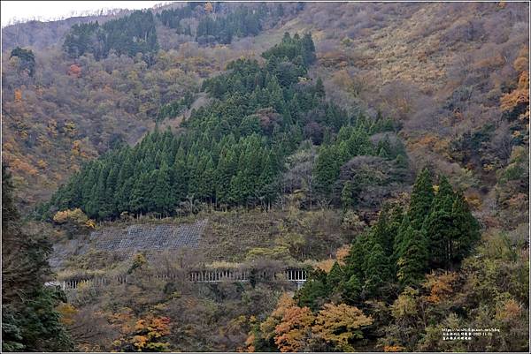 富山縣庄川峽遊船-2023-11-21-09.jpg