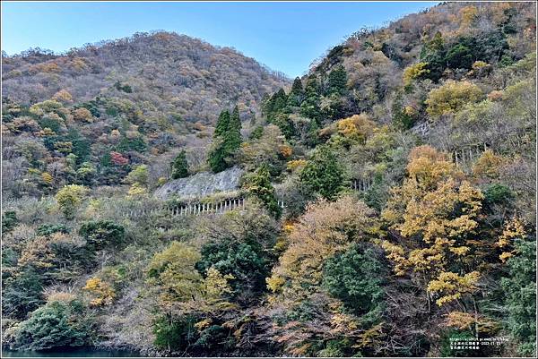 富山縣庄川峽遊船-2023-11-21-15.jpg