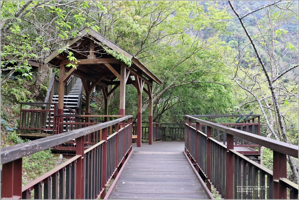 布洛灣環流丘步道-2024-03-15-31.jpg 布洛灣環流丘步道-2024-03-15-31.jpg