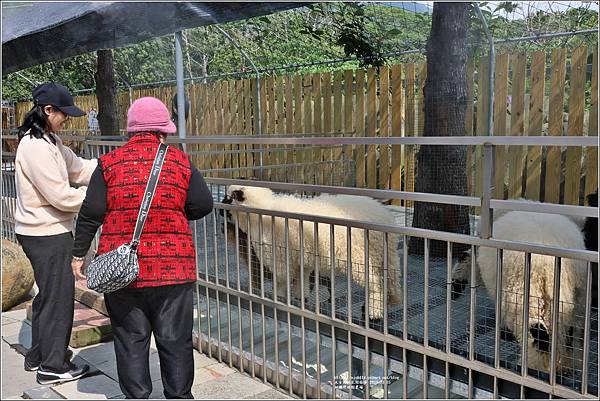 洄瀾灣休閒農場-2024-03-15-10.jpg