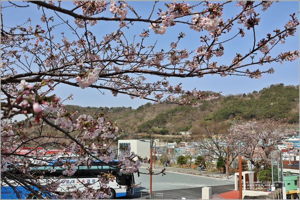 釜山甘川洞文化村-2024-03-29-51.jpg