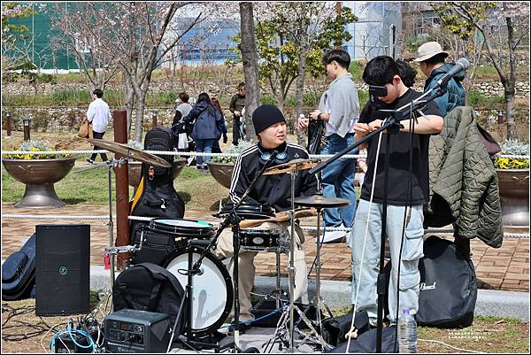 釜山鎮海櫻花季(鎮梅車站)-2024-03-29-31.jpg