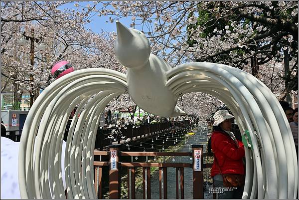 釜山余佐川櫻花季(羅曼史橋)-2024-03-29-26.jpg