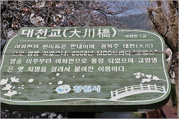 釜山余佐川櫻花季(羅曼史橋)-2024-03-29-58.jpg