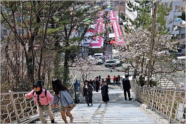 釜山帝皇山公園-2024-03-29-03.jpg