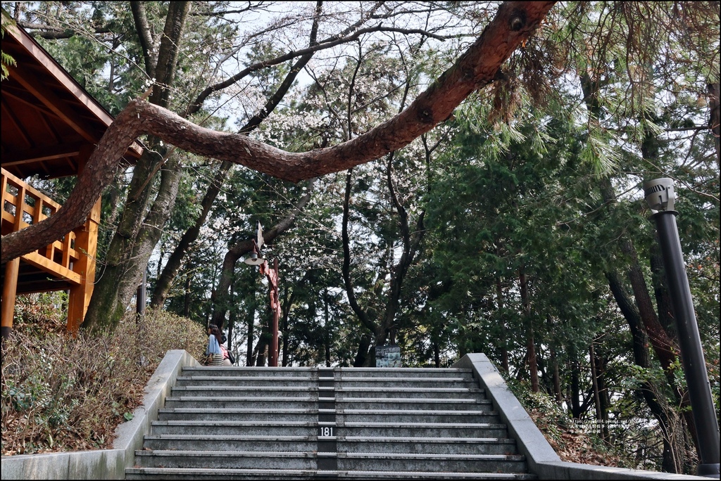 釜山帝皇山公園-2024-03-29-06.jpg