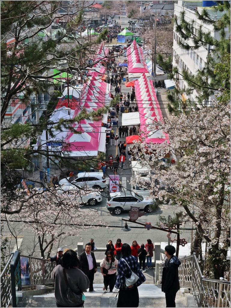 釜山帝皇山公園-2024-03-29-04.jpg