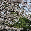 釜山帝皇山公園-2024-03-29-11.jpg