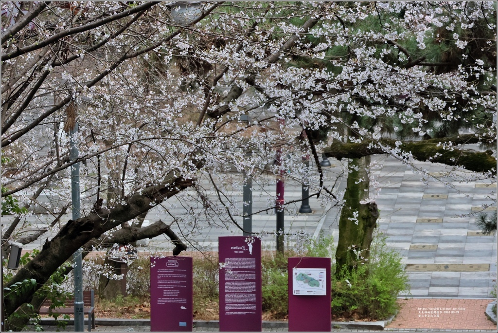 釜山帝皇山公園-2024-03-29-19.jpg