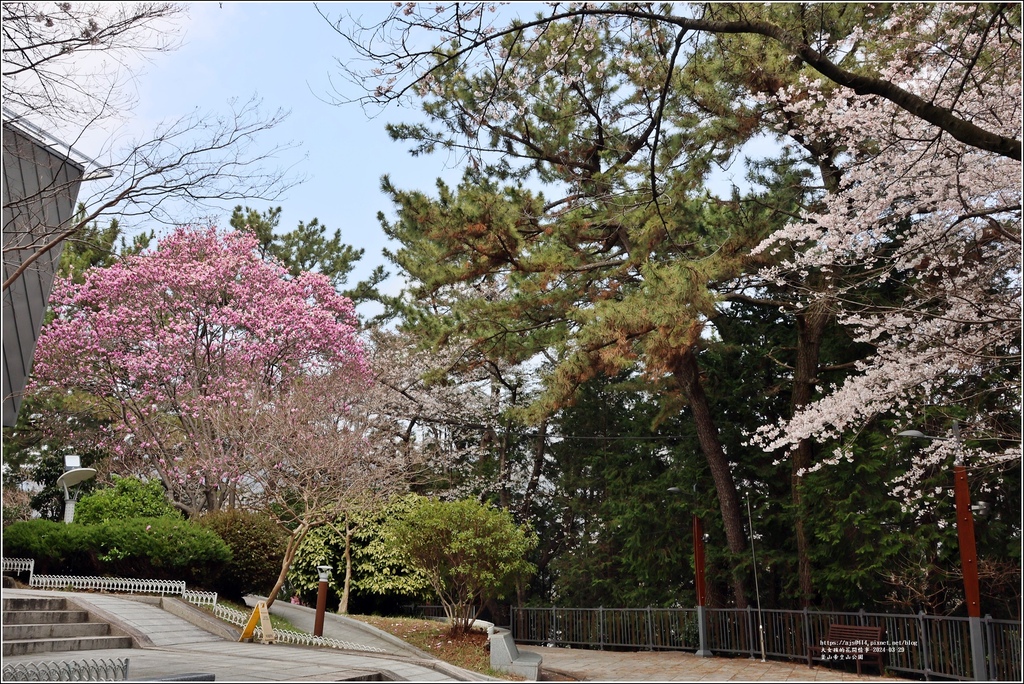 釜山帝皇山公園-2024-03-29-18.jpg