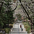 釜山帝皇山公園-2024-03-29-23.jpg