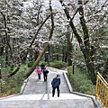 釜山帝皇山公園-2024-03-29-22.jpg