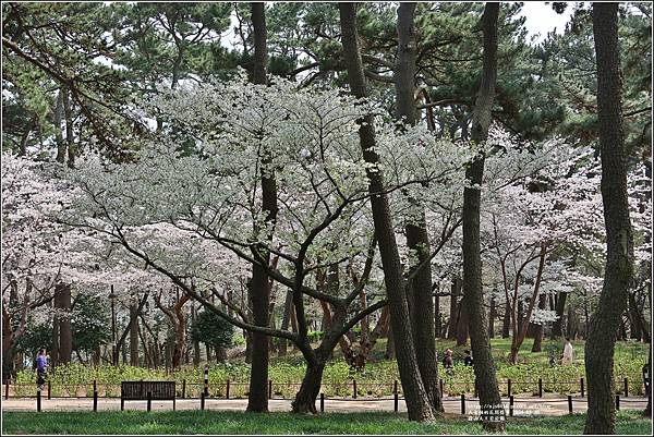 蔚山大王岩公園-2024-03-30-67.jpg