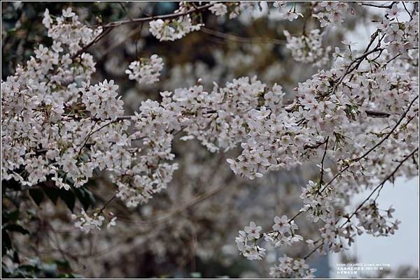 蔚山仙岩湖水公園-2024-03-30-38.jpg