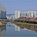 釜山東萊溫泉市民公園-2024-03-31-03.jpg