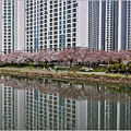 釜山東萊溫泉市民公園-2024-03-31-01.jpg