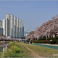 釜山東萊溫泉市民公園-2024-03-31-11.jpg
