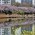 釜山東萊溫泉市民公園-2024-03-31-12.jpg