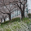 釜山東萊溫泉市民公園-2024-03-31-09.jpg